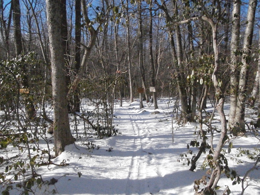 DeerHollowPass